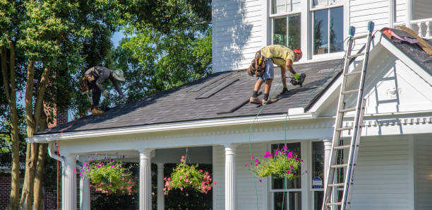 Best Roof Gutter Cleaning  in Salisbury, MO