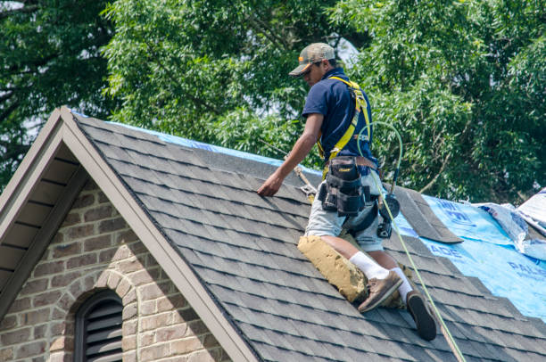 Best Metal Roofing Contractor  in Salisbury, MO